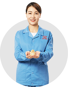 诸侯快讯·ok1133(中国区)官方网站